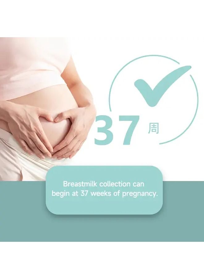 6 قطع قابلة لإعادة الاستخدام مستخرج اللبأ المحمولة خالية من مادة BPA حاوية جمع حليب الأم - Image 2